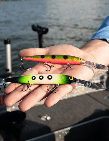 Baits & Lures
