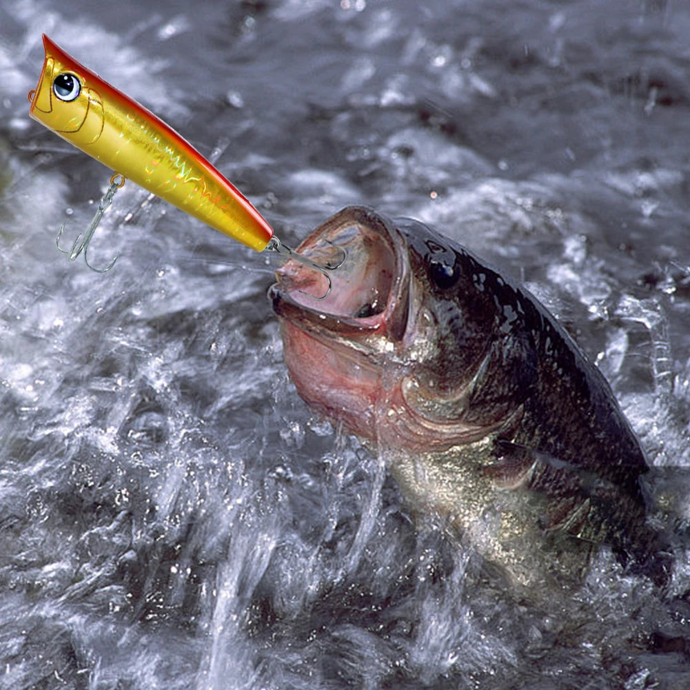 3D Eyes Popper Fishing Lure