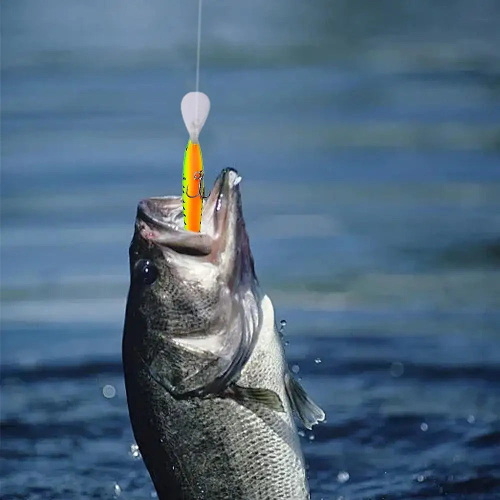 Hard Bait Lure 12.5cm